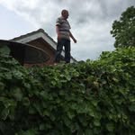 Jeff Beard - @jefferyrbeard - Instagram