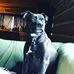 Jeff Beard - Facebook