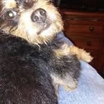 Jeff Beardsley - @jeffbeardsley3 - Instagram