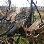 Jeff Beeler - @jbeeler427 - Instagram