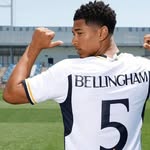 Jeff Bellingham - @jeff.bellingham - Instagram