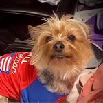 Jeffrey Benefield - @jeffrey.benefield.46 - Instagram