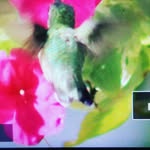 Jeffrey Benefield - @jtbenefield - Instagram