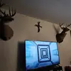 jeffbeynon426 - @jeffbeynon426 - TikTok