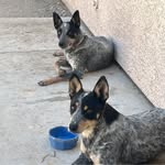 Jeff Bieber Jr. - @jay.michael.583 - Instagram