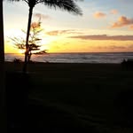Jeff Bielecki - @jeffbielecki - Instagram