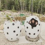 Jeff Bilodeau - @jeff_walks_san_diego - Instagram