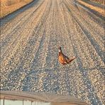 Jeffrey Blackford - Facebook