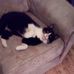 Jeffry Blankenburg - Facebook