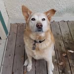 Jeff Blodgett - @jeffblodgett61 - Instagram