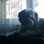 Jeff Blondin - @jeffblondin.realtor - Instagram