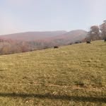 Jeff Blosser - @j9083599 - Instagram