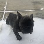 Max Marshall - @jeffbobertron - Instagram