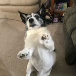 Jeff Bodine - @bodine5682 - Instagram