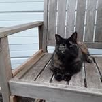 Jeff Bohdan - @jeffbohdan - Instagram