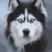 Jeffrey Boldt - Facebook
