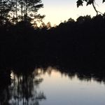 Jeff Bonds - @jeff_bonds_ - Instagram