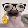 Jeff bottoms - @jeff.bottoms5 - TikTok