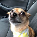 Jeff Boudreau - @zod9636 - Instagram
