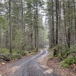 Jeff Boudreau - @pnwshirelife - Instagram