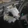 Jeff Bozarth953 - @jeffbozarth953 - TikTok