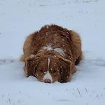 Jeff Bracken - @frednoname - Instagram
