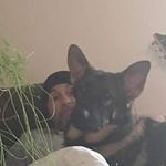 Jeff Braman - @bramanjeff - Instagram