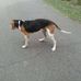 Jeff Bratcher - Facebook