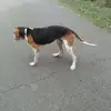 Jeff Bratcher - @jeff.bratcher1 - TikTok