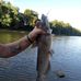 Jeff Bratcher - Facebook