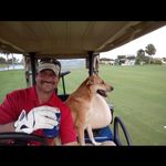 Jeff Breslin - @jeffbreslin4243 - Instagram