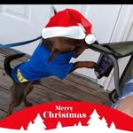 Jeffery Broadus - @jefferybroadus - Instagram
