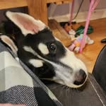 Jeff Broderick - @smokey12180 - Instagram