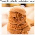 Jeff Broderick - @virkedomiss2 - Instagram