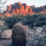 jeff brower - @brower62 - Instagram