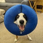 Jeff C. Brower - @jeffc.brower - Instagram