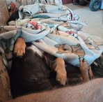 Jeff Broyles - Facebook