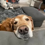 Jeff Brunet - @jeffbrunet_ - Instagram