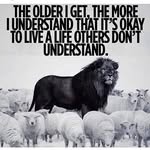 Jeff Brunner - @doctruther17dc - Instagram