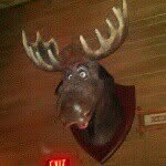jeff buchan - @jeffbuchan0821 - Instagram