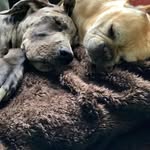 Jeffrey - @jeff__buchanan - Instagram