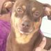 Jeff Bucher - Facebook