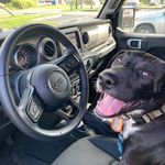 Jeff Buckner - @facetiousa - Instagram
