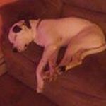 Jeff Buckner - @buckner601849_ - Instagram