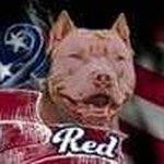 Jeff Bunch - @bunch6245 - Instagram