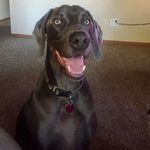Jeff Bunge - @jtb24rlz - Instagram