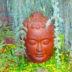 Jeff Bunn - @bunnjeff - Instagram