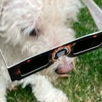 Jeff Bunting - @jbunti5676 - Instagram