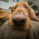 Jeff Bunting - @jeffbunting8 - Instagram