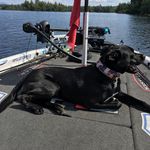 Jeff Burrell - @bassdude_jeff_burrell_fishing - Instagram